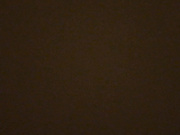 個人雲盤不慎泄密流出-高顏值清純漂亮大學生美女與熱戀中男友啪啪自拍 想不到妹子叫的這麽騷 1080P高清原版