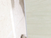 國內廁拍大神潛入某禮儀培訓機構公共女廁偷拍各式美女少婦如廁噓噓 有個高跟美女貌似脫光光了尿尿 1080P高清原版