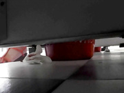 國內廁拍大神潛入某高校公共女廁拍攝到的各式學生美女如廁噓噓 貌似有幾個妹子顏值不錯 1080P高清