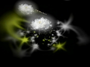 C0930 ki241217  天野 聡美 39歳