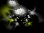 H0930 ori1724 野口 里栄子 52歳