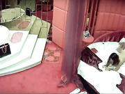 情趣酒店拍攝到的卷發眼鏡妹和男友開房愛愛 69互舔騎乘後入完事後還一起洗個鴛鴦浴 太刺激了 露臉高清