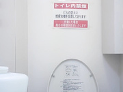 最新流出-某大型商場高級坐廁偸拍多位氣質美女如廁噓噓 有個黑絲翹臀妹子顏值蠻高的 1080P高清原版