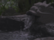 [SDDE-746] 「常に性交」ビキニマッサージ14 濃密ベロチューマッサージ編 - 1of5