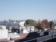 [NMSL-010] 「あなた、見ないで…」夫の前で気が狂うほどイカされ続けた私。 美咲かんな - 1of5