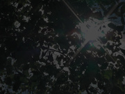 KSBJ-399 お義母さん…その衣装、反則です。 織田真子 - 1of5