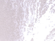 FWAY-087 脱グラドル 福田ゆあ - 3of5