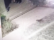 小区保安监控现场观看❤️兰州老街情侣野战饥渴女友骑乘榨精，8分钟无水印完整版