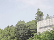 坏坏 家庭裸体日 同学妈妈放荡勾引