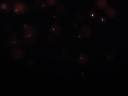 [Studio Fow-006]Beastly_Bacchanalia