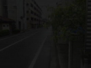 [SCPX-219]  子育てが一段落した奥様たちの間で今危険な火遊びが止まらない！息子の友達だろうとおかまいなし！