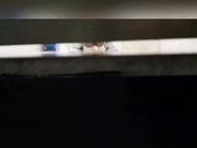 难得遇见的嫩鲍鱼