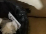 屌丝狼友刷礼物让主播潜入大学校园女厕偷拍女生嘘嘘这个要是被人发现要被打个半死