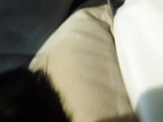 在北京操了一个95年的东北极品身材脸蛋大学美女