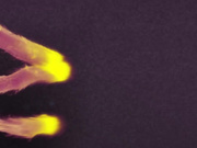 大屌男一人独操五骚妇