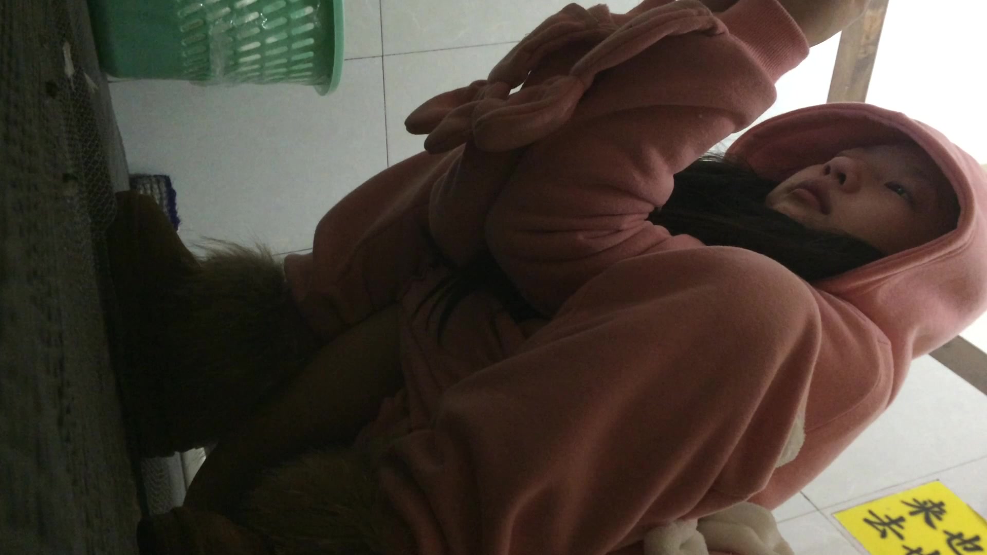 猪头厕拍系列之穿的萌萌哒的妹子和眼镜御姐，最后几个人好像被锁在厕所里面1080高清