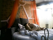 好久没爱爱的年轻大学生情侣开房激情连衣裙马尾辫清纯美女还没洗呢就被饥渴男友按倒妹子的奶子真漂亮