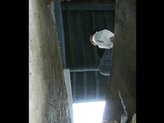农村中学沟厕偷拍一