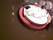 特色圆床主题房有钱小老板大叔约会坚挺美乳情妇洗干净开始滾床单女上位扭的相当疯狂非常主动很快就交货了