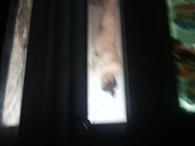 偷拍楼下美女澡奶子真好看