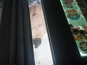 偷拍楼下美女澡奶子真好看