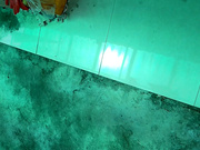 偷拍午睡少妇，被发现了！