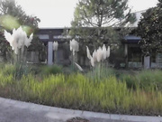 女郎全套和几个猛男玩深喉菊花阴道一起干