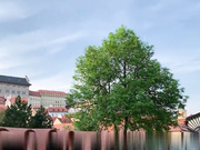 捷克女孩在街上快速吹箫和做爱+2