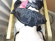 极限整备：性爱病毒入侵的2B