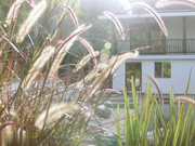 黑了他在健身房遇到的两个金发女孩