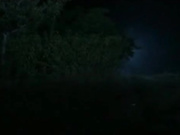 聊斋艳谭13画皮