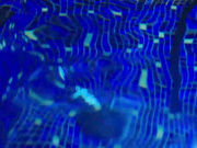 『中文字幕』得奖女主发了一个巨屌深插做爱